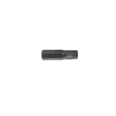 Bit Torx T40