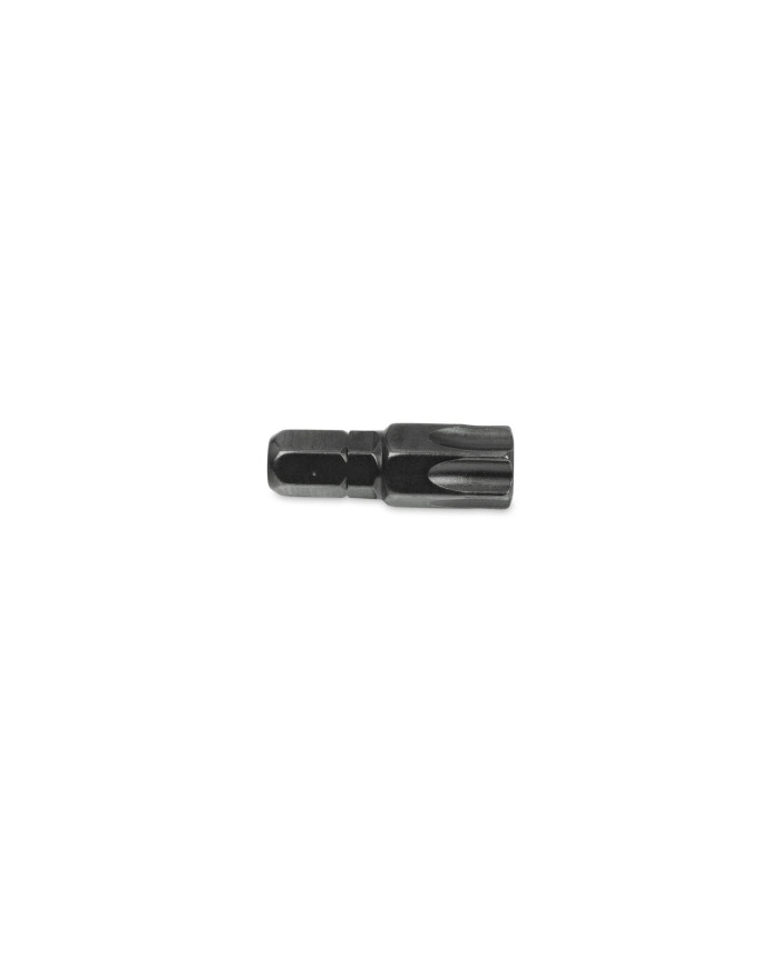 Bit Torx T55