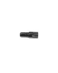 Bit Torx T55